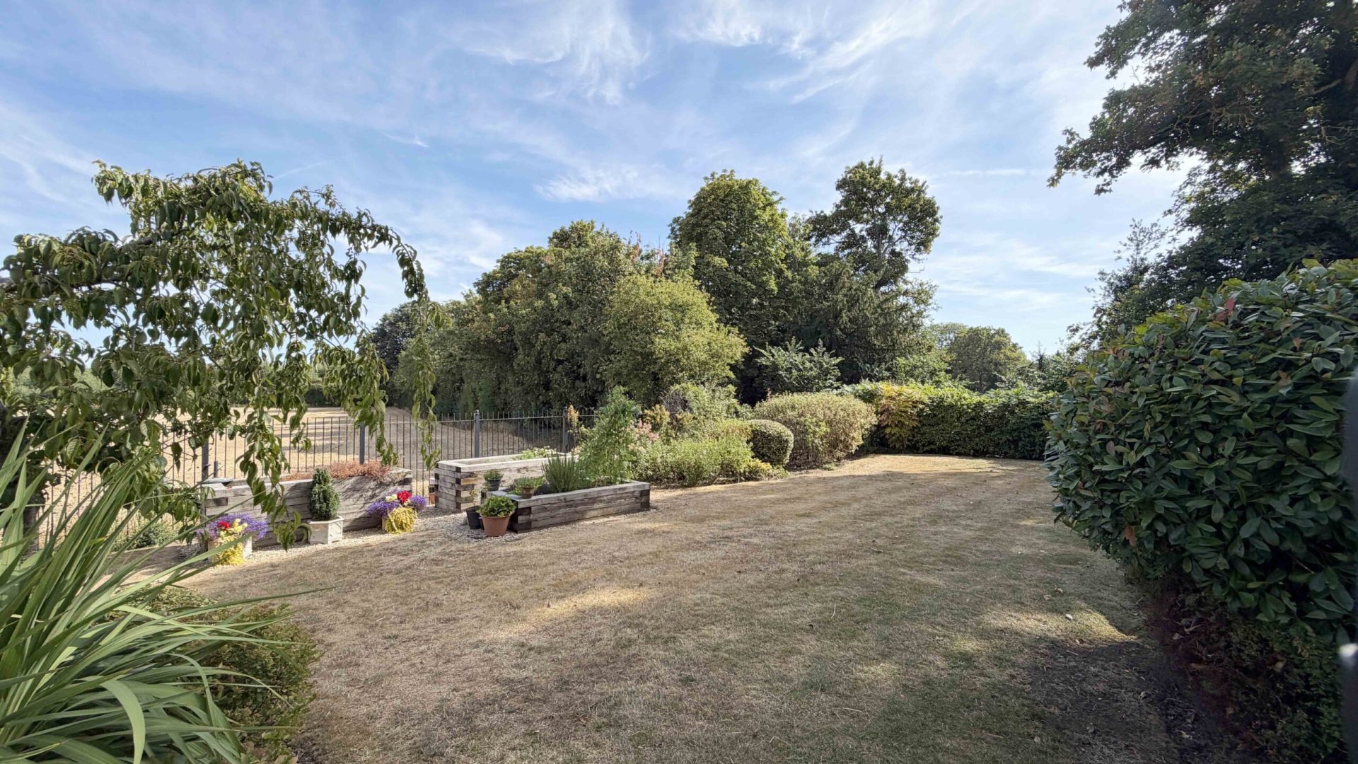 11. Communal Garden 2