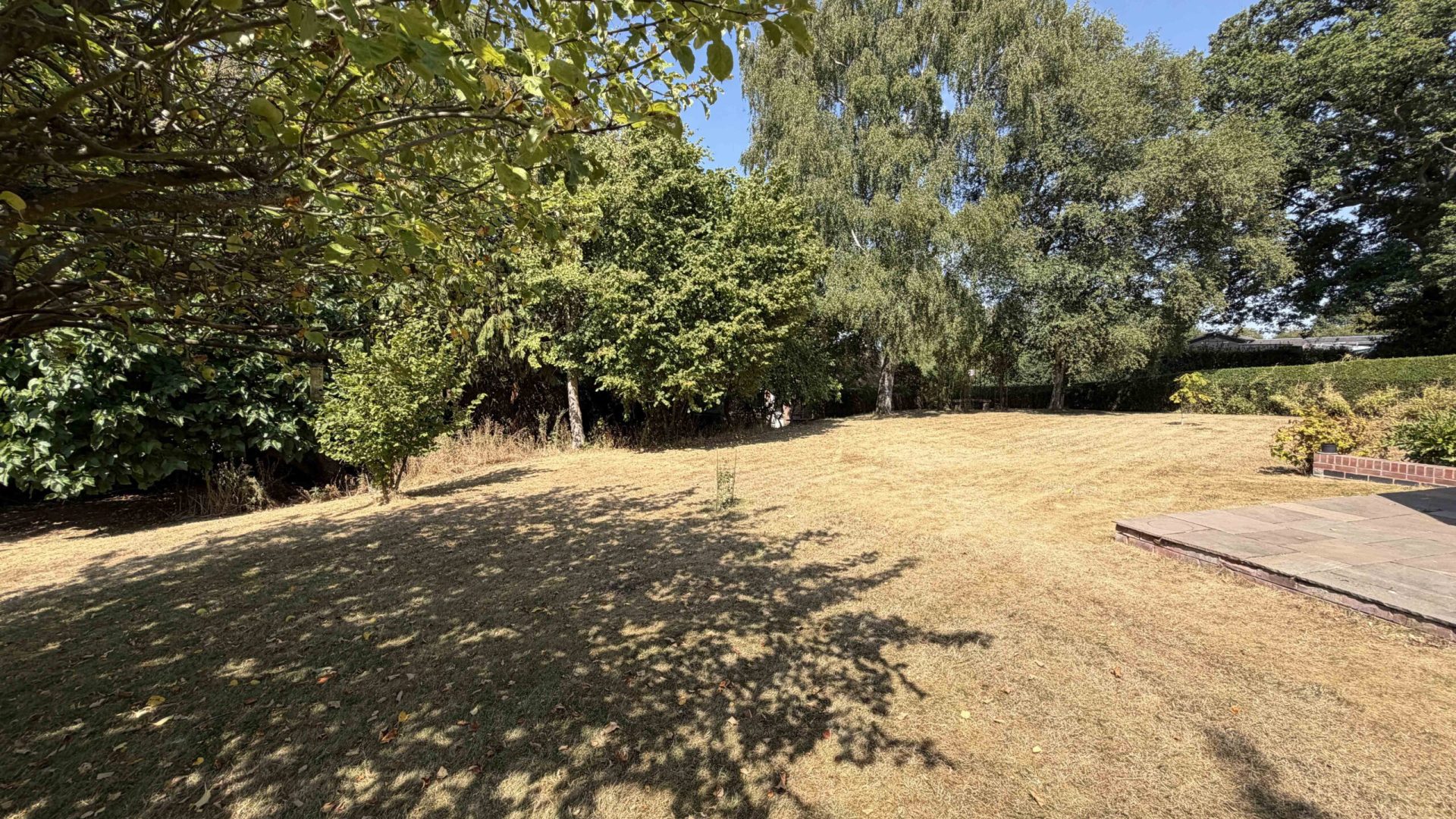 21. Garden