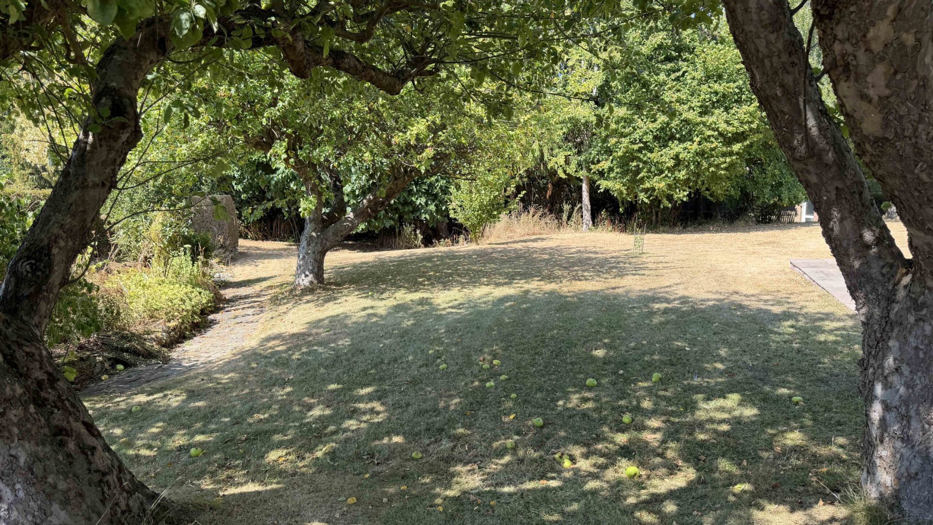 24. Garden 3