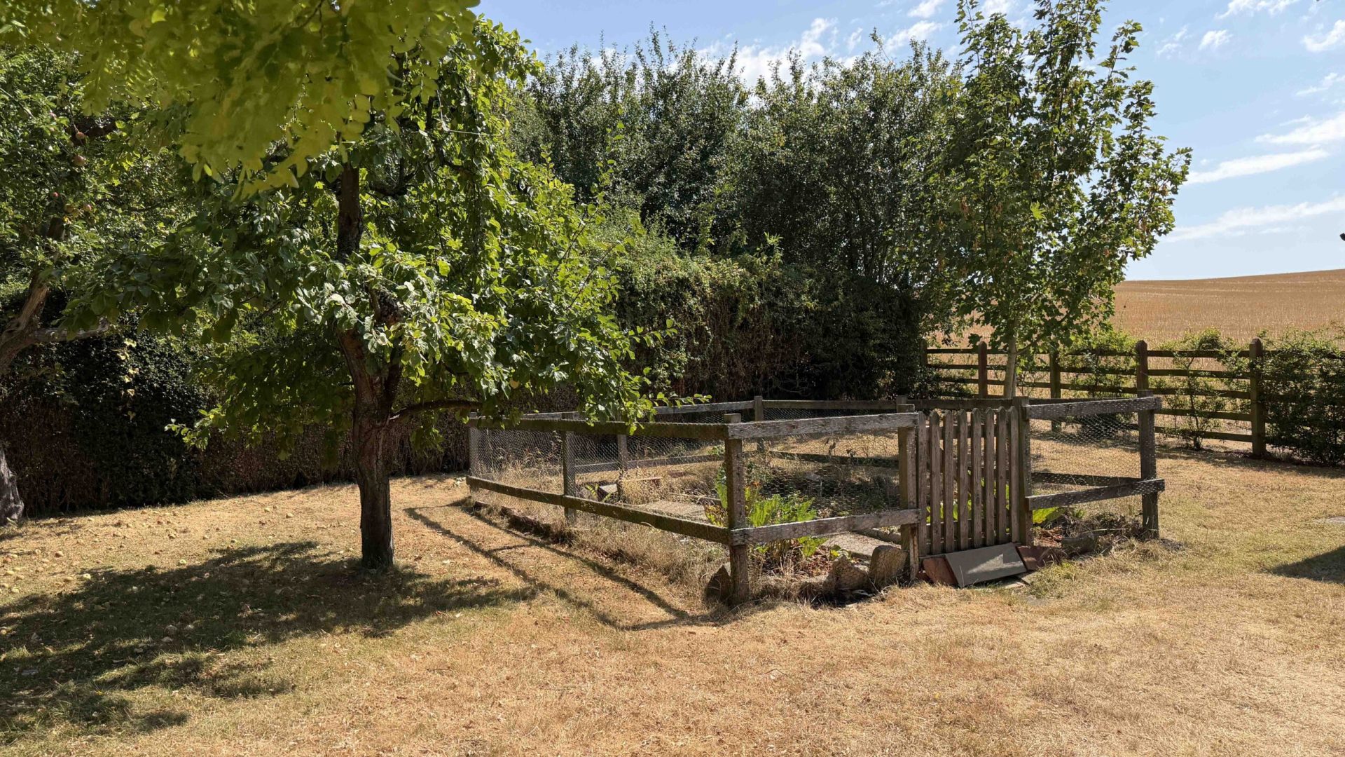 25. Garden 4